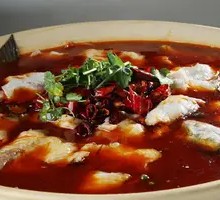 Bold Boiled Fish