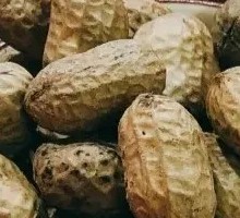Boiled Peanuts
