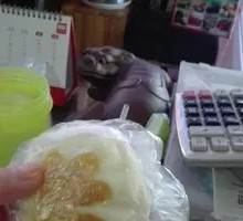 Pan-fried Bun
