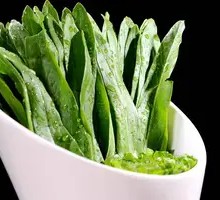 Oilseed lettuce