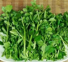 Watercress