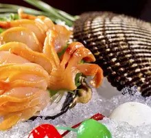 Fresh Scallops Sashimi