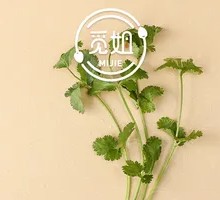 Fresh Oil-mustard Greens