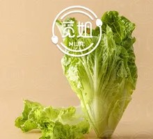 Crisp Lettuce