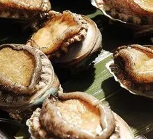 Fresh Abalone