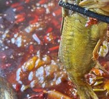 Fresh-caught Yellow Catfish