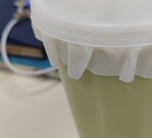 Bubble Milk Tea