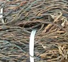 Dried Green Beans