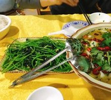 Sour Cabbage Carp