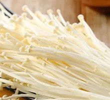Enoki Mushroom