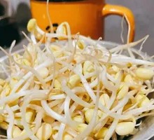 Bean sprouts
