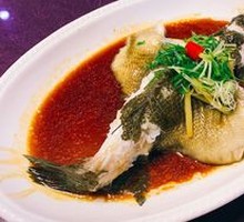 Steamed Snakehead Fish