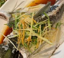 Steamed Yellow Catfish