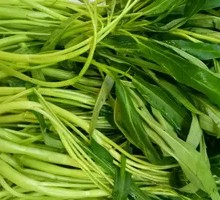 Water spinach