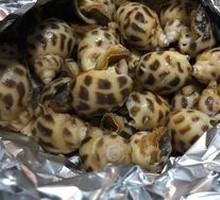 Salt-Baked Flower Snail