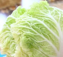 Napa cabbage