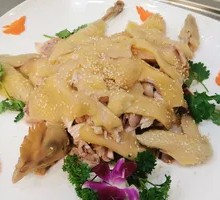 Mo Garden Special Shredded Chicken
