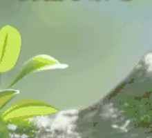 Freshly Boiled Lamb Offal Soup