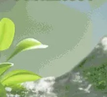 Braised Spare Ribs in Soy Sauce