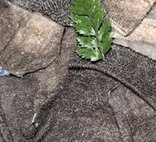 Thousand-layer Tripe