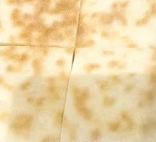 White Flour Flatbread