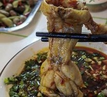 Freshly Caught Rice Field Frog