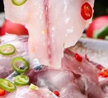 Freshly Caught Bighead Carp