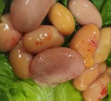 Fresh Chicken Kidneys