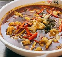 Young Ginger Jumping Frog