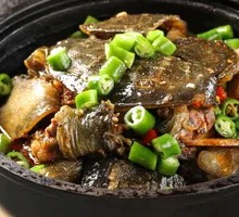 Stir-fried Fresh Turtle