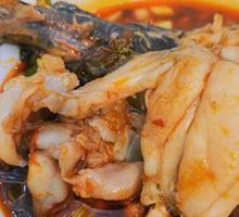 Rice Field Delight Frog