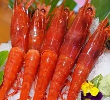 Spanish Red Devil Shrimp