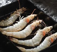 Premium Shrimp