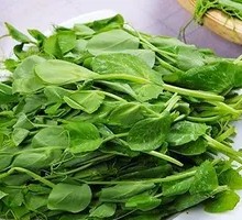 Pea Shoots Stir-Fry