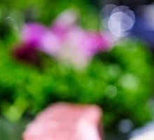 Japanese Diamond-Grade Tongue