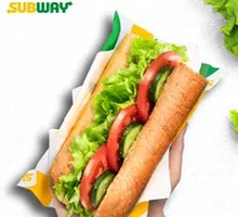 Colorful Vegetable Sandwich