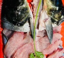 Fresh Bighead Carp Head