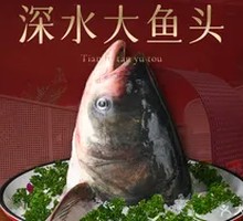 Deep Water Fish Head