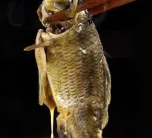 Ecological Crucian Carp