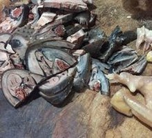 Spicy Chicken Feet Salad