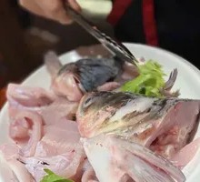 Deep-water Bighead Carp