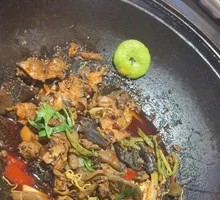 Black Phoenix Chicken