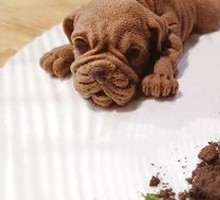 Internet-famous Shar-Pei Dog Dish