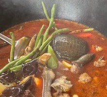 Hezhou Softshell Turtle