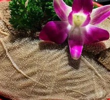 Premium Fresh Tripe from the Butcher's Market