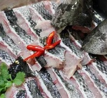 Freshly Killed Side Fish