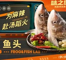 Bighead Carp Head