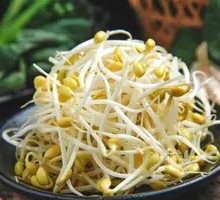 Bean sprouts