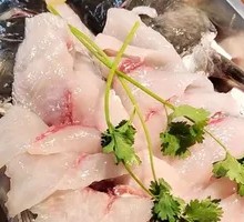 Frog Fish