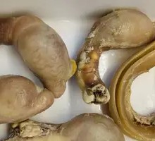 Butcher Shop Ox Penile